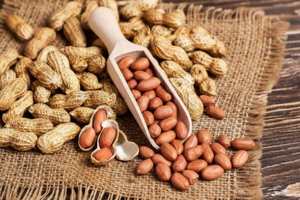 Groundnut Oil (Peanut Oil)