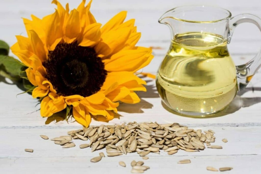 Top 8 Cooking Oils Should Use for Daily Cooking